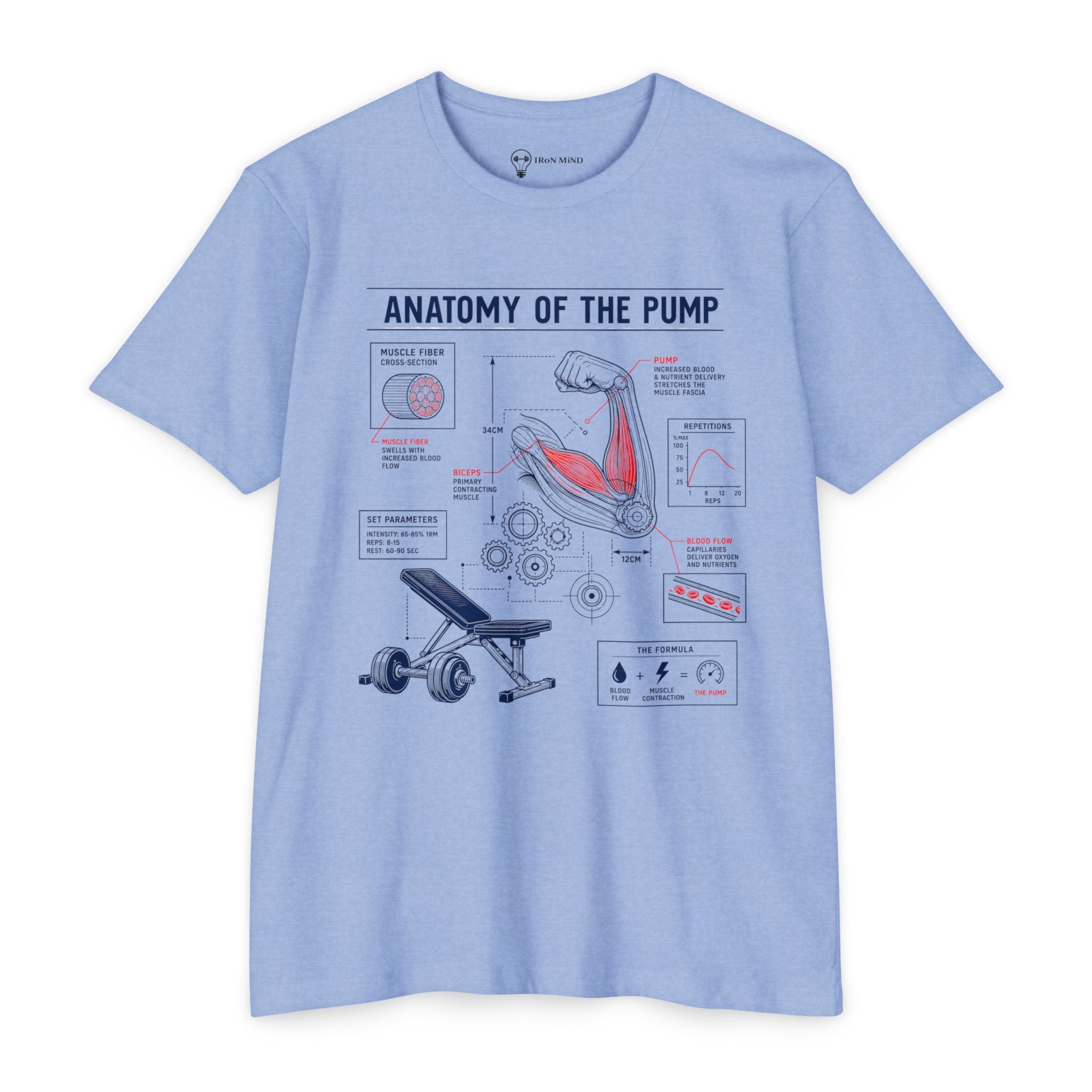 Anatomy of the Pump T-Shirt – Gym Workout Muscle Diagram Tee